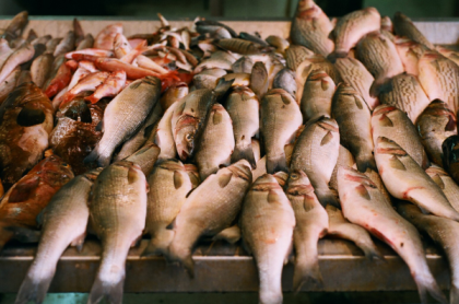 Pescarii