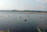Pescaresc Livada de Bihor Balta Pescuit Livada