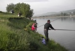 Pescaresc Bibiresti Balta Bibiresti