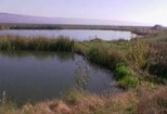 Pescaresc Bacau Balta Cleja