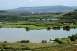 Pescaresc Marghita Balta Crocodyl Bihor