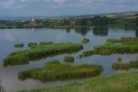 Pescaresc Marghita Balta Crocodyl Bihor