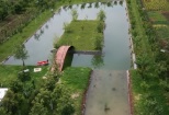 Pescaresc Jilava Balta Insula Mica