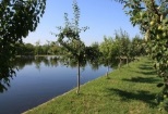 Pescaresc Jilava Balta Insula Mica