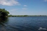 Pescaresc Gorgova Balta Pescuit Gorgova