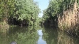 Pescaresc Maliuc Balta Pescuit Maliuc