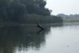 Pescaresc Caraoman Balta Pescuit Caraoman